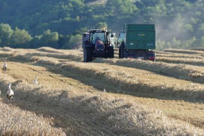 ​Az Ab szerint mulasztott az Országgyűlés a kárpótlási szabályok módosításakor