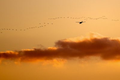 Légi fuvarozó kártalanítási kötelezettsége