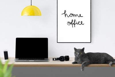 Nem világosak az otthoni munkavégzés, a "home office" jogi keretei