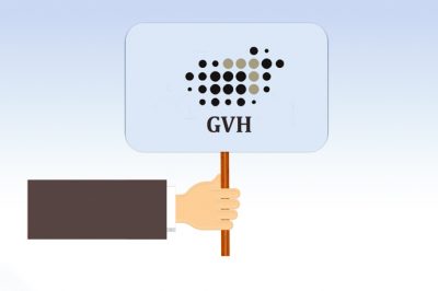 Továbbra is aktív a nemzetközi színtéren a GVH