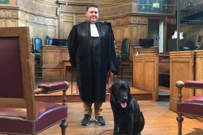 Kutyákkal segítenék egy francia bíróságon a bántalmazások áldozatait