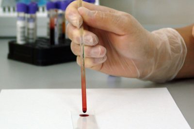 ​A szakértői bizonyítás fontosabb jellemzői az új Pp.-ben