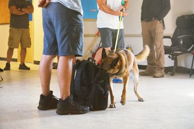 Nemzetközi akciók a drogkereskedelem ellen